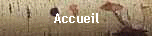 Accueil